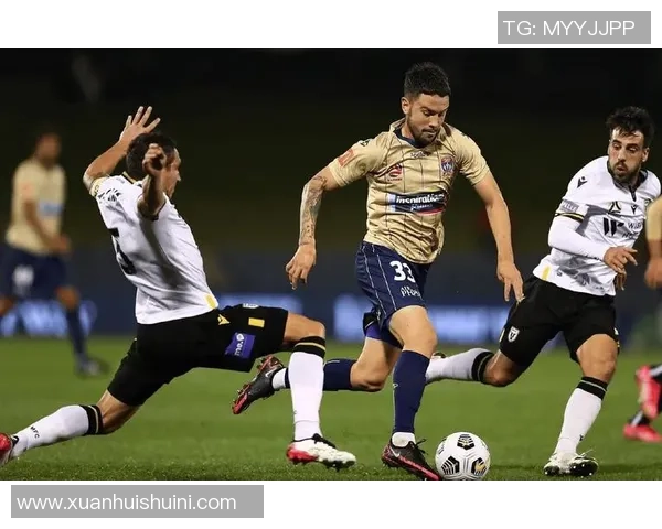 惠灵顿与悉尼FC对决前瞻分析及比赛结果预测